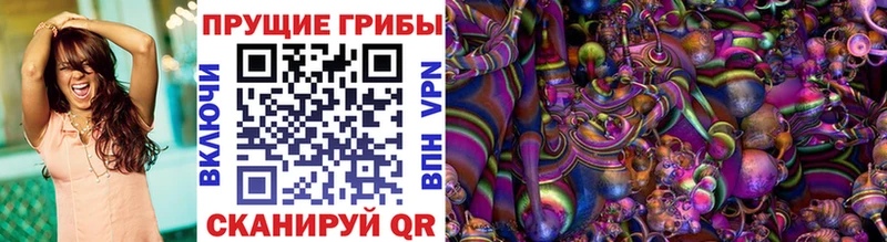 Псилоцибиновые грибы Cubensis  Волосово 